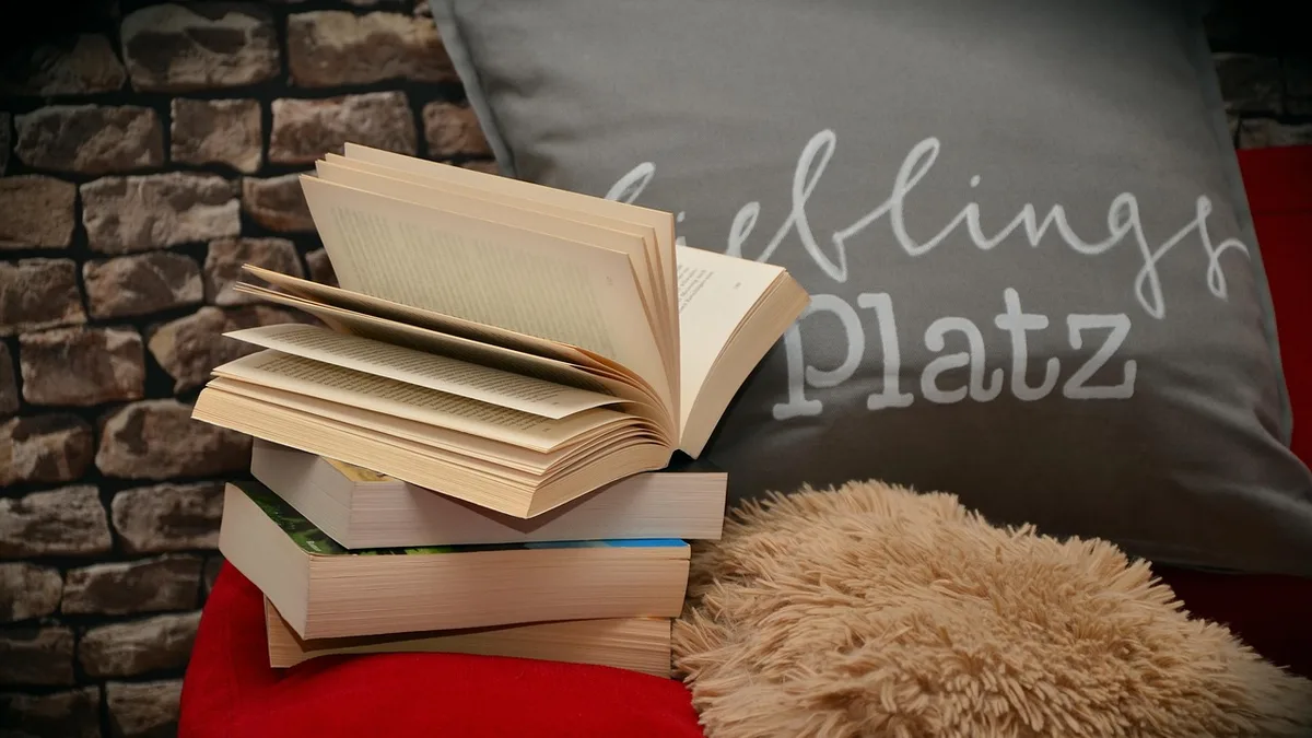 books, a book, read, relax, sofa, pillow, literature, mood, comfortable, reading corner, browse, books, books, reading corner, reading corner, reading corner, reading corner, reading corner, browse